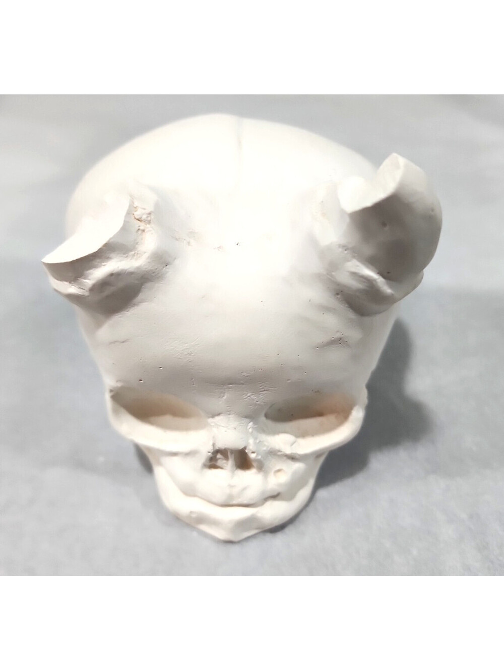 Handmade Cracked Horned Demon Skull Sculpture 3x5 Gothic Halloween Heavy